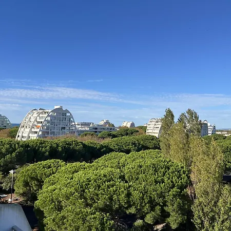 Sol-y-days Fleurie 2, Vue Panoramique Avec Piscine Appartement La Grande-Motte