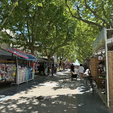 Lägenhet Sol-y-days Fleurie 2, Vue Panoramique Avec Piscine La Grande Motte